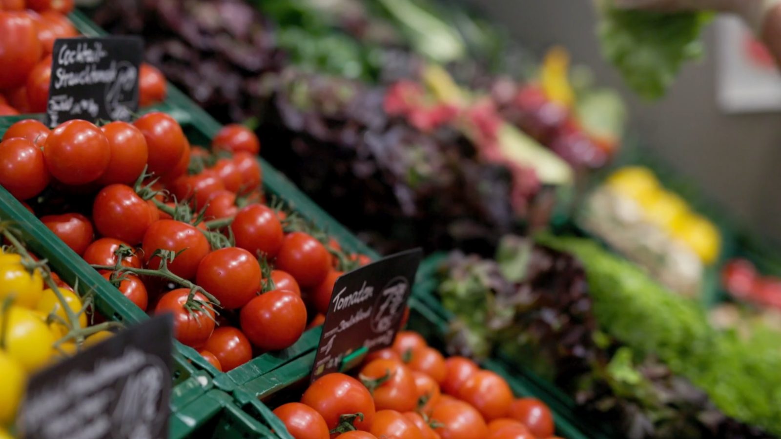 Overhead shot of fresh vegetables and fruits